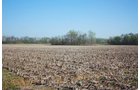 Property photo 21 - 641 Acres Offered in 16 Tracts - 545 Cropland Acres
